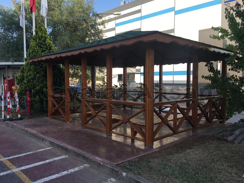 Kamelya - Çardak  156
